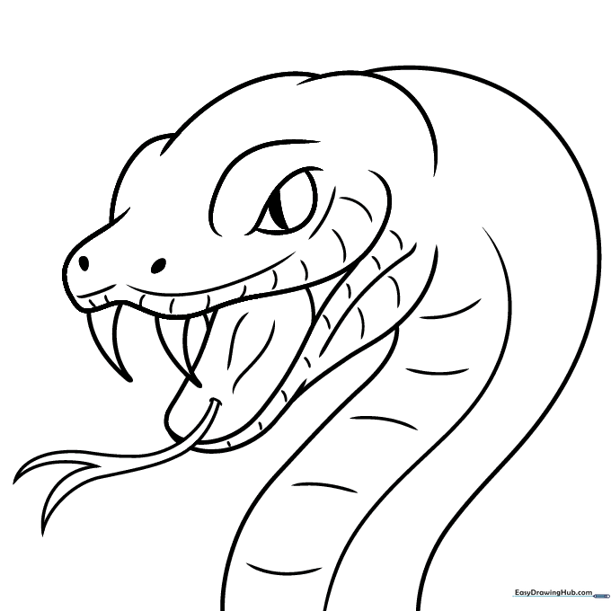 Snake Face and Head Coloring Sheet