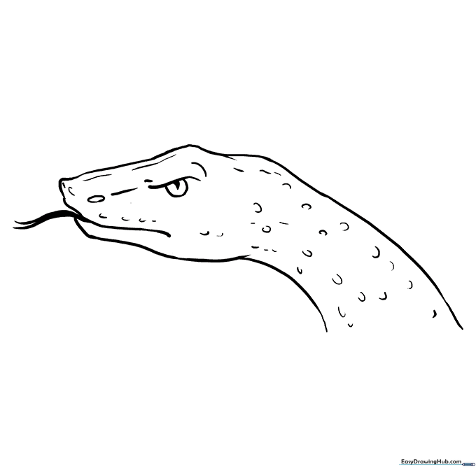 Snake Head Coloring Sheet