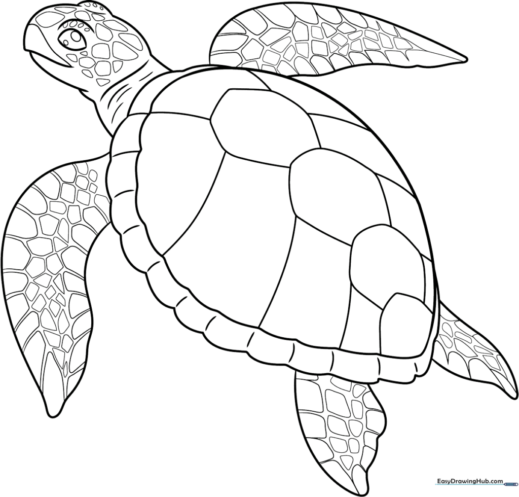 Realistic Sea Turtle Coloring Sheet