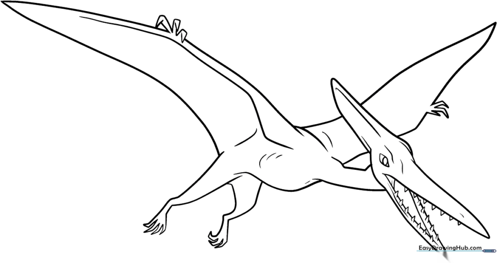 Pterodactyl Coloring Sheet