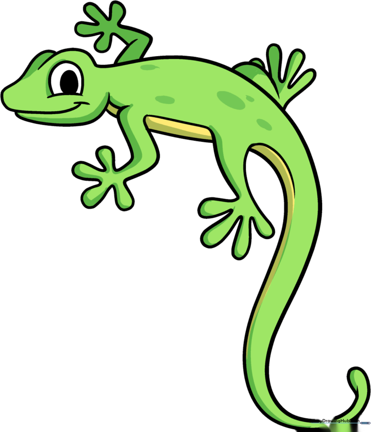 Cartoon Lizard