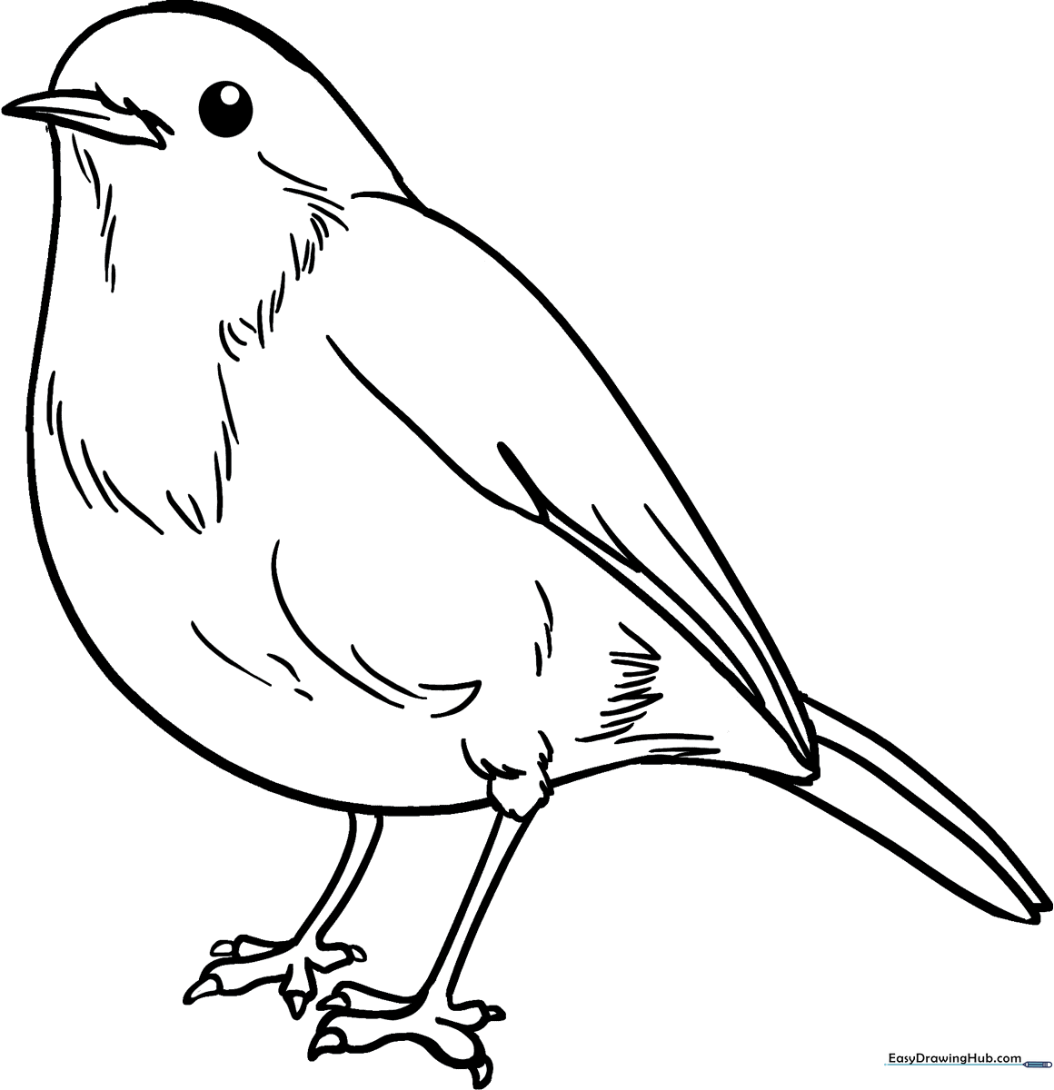 Black and white line art of a robin perched on a branch, featuring clear outlines for easy coloring by children.