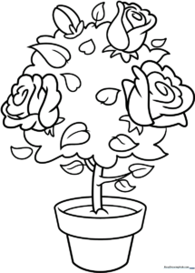 Black and white line art of a blooming rose bush with multiple flowers and leaves, designed for children to color.