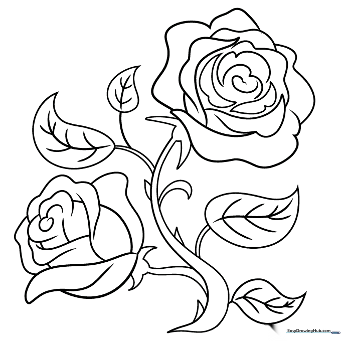Classic Black and White Rose