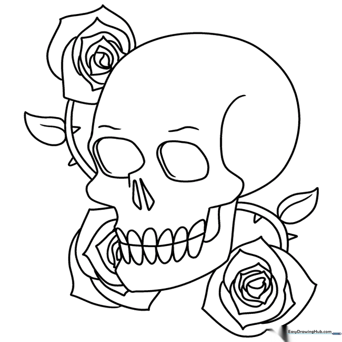 Skull and Rose Illustration