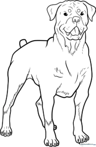 Black and white line art of a Rottweiler dog, featuring clear outlines for children to color, suitable for educational art practice.