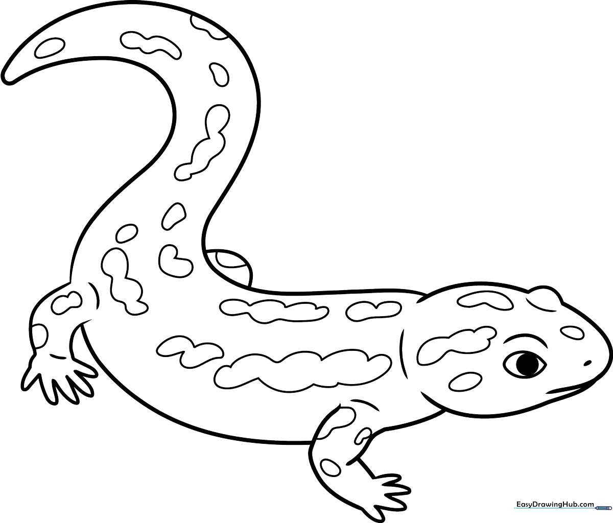 A friendly cartoon salamander with distinct spots and a long tail, outlined in bold black lines for easy coloring by children.