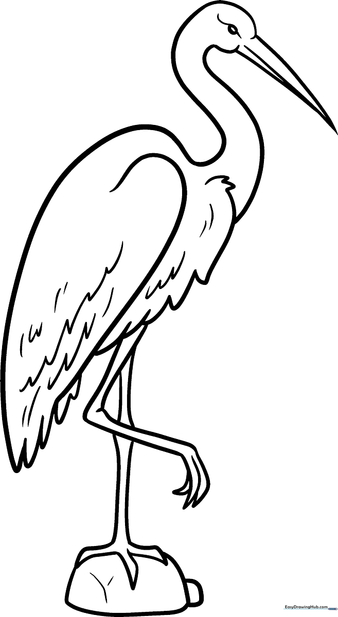 Black and white line art of a Sandhill Crane standing in a wetland, featuring clear outlines for easy coloring by children.