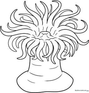 Black and white line art of a friendly sea anemone with wavy, rounded tentacles, designed for children to color and practice fine motor skills.