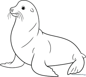 A clean, black-and-white line art illustration of a cheerful sea lion with large eyes and flippers, ready for children to color.