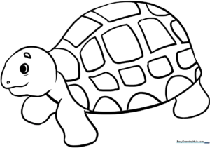 Black and white line art of a swimming sea turtle with a patterned shell, designed for children to color.