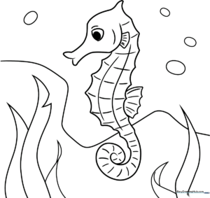 Black and white line art of a friendly seahorse with a curled tail, designed for children to color with markers or crayons.