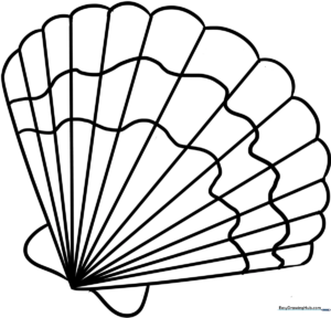 Black and white line art of a spiral seashell with clear, bold outlines for easy coloring by children