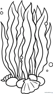 Black and white line art of wavy seaweed fronds, designed as a printable coloring activity for children to practice staying within the lines.