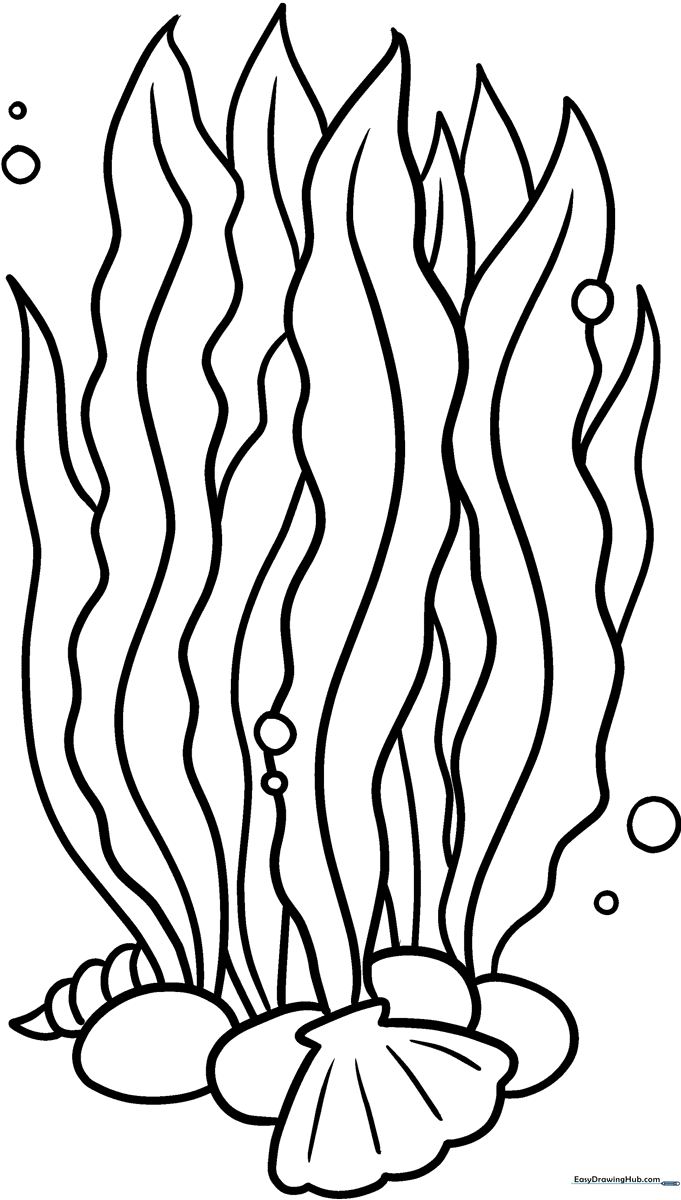 Black and white line art of wavy seaweed fronds, designed as a printable coloring activity for children to practice staying within the lines.