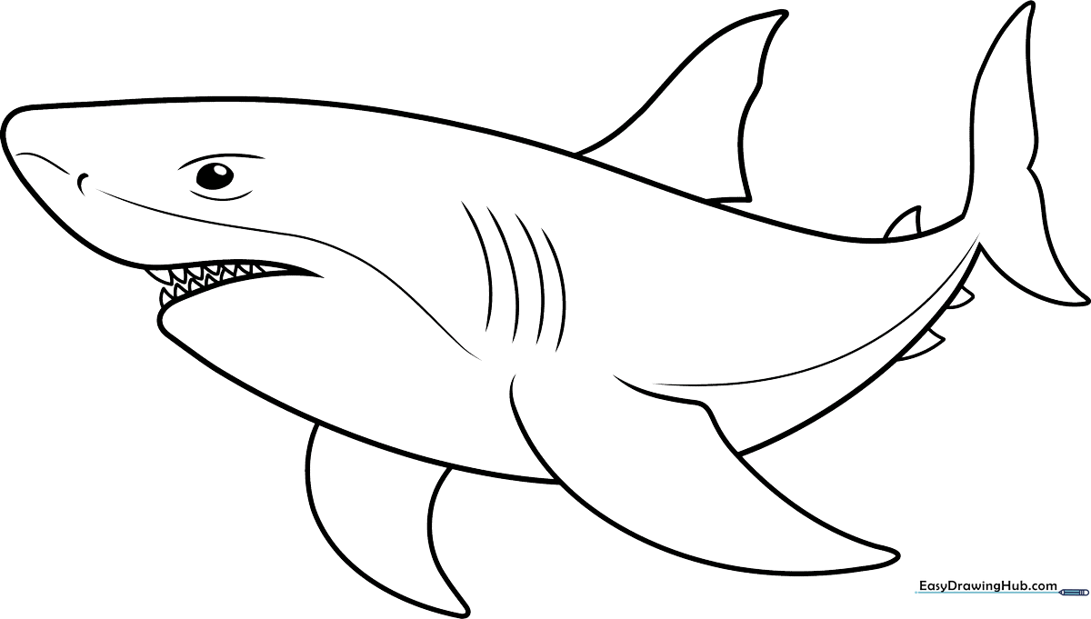 Black and white shark outline with bold lines, perfect for children practicing coloring techniques and fine motor control.