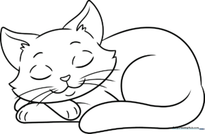 A clean, black-and-white line art illustration of a curled-up sleeping cat with closed eyes, designed for children to color.