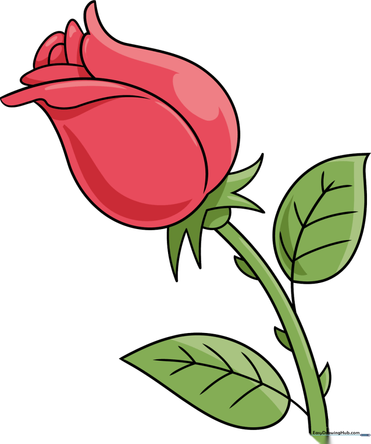 Easy Rose Drawing