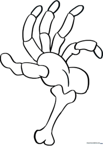 Black and white line art of a human skeleton hand with clear bone segments, designed for educational coloring and fine motor practice.
