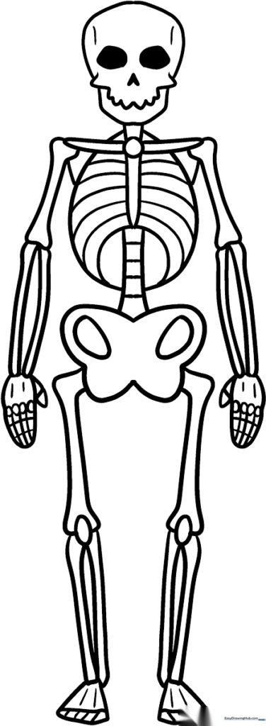 Easy Skeleton Coloring Sheet