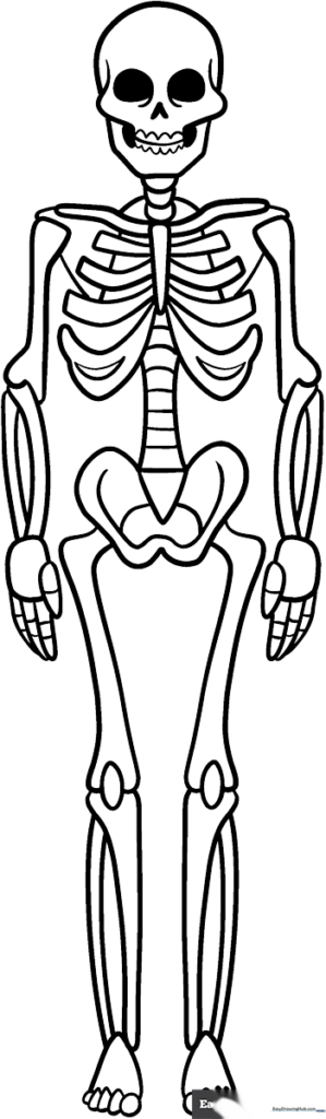 Skeleton Coloring Sheet