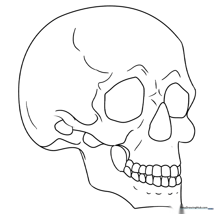 Skull in 3/4 View Coloring Sheet
