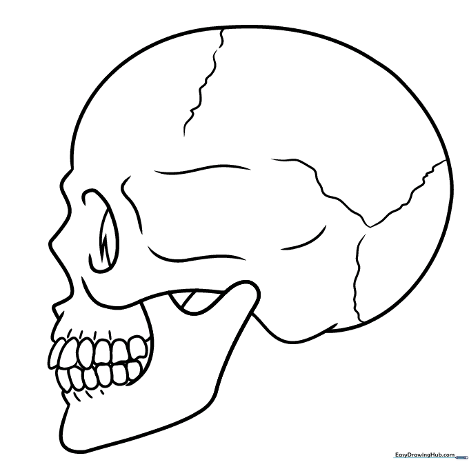 Skull in Profile Coloring Sheet