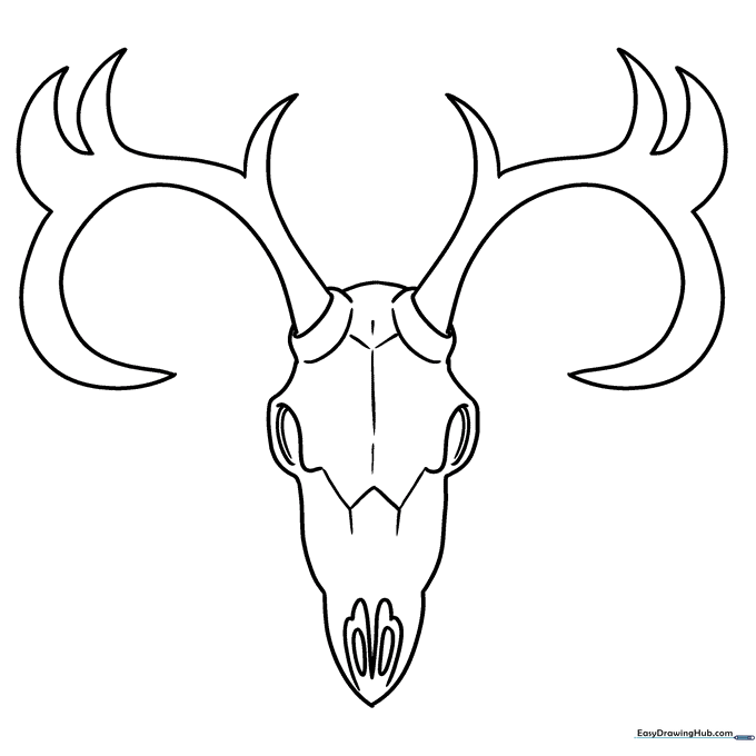 Deer Skull Coloring Sheet