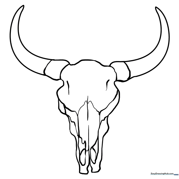Bull Skull Coloring Sheet