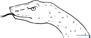 Black and white line art of a snake head with defined scales and a forked tongue, designed for children to color.