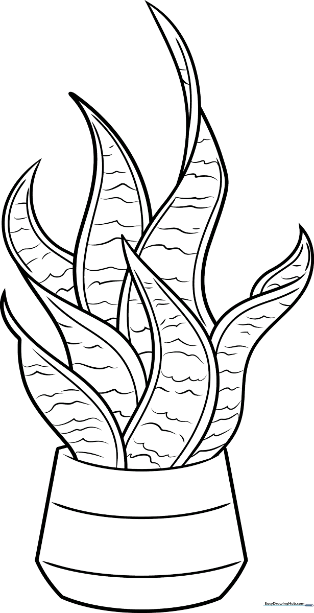 A clean, black-and-white line art illustration of a snake plant in a decorative pot, featuring tall, pointed leaves with distinct horizontal patterns for coloring.