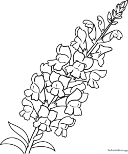 Black and white line art of a Snapdragon flower with distinct petals and leaves, designed for children to color.