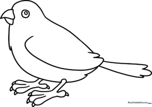 A clean, black-and-white line art illustration of a cute sparrow perched on a branch, designed for children to color.