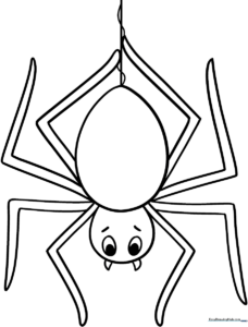 A friendly, round cartoon spider with eight simple legs and large, expressive eyes, outlined in thick black lines for easy coloring.