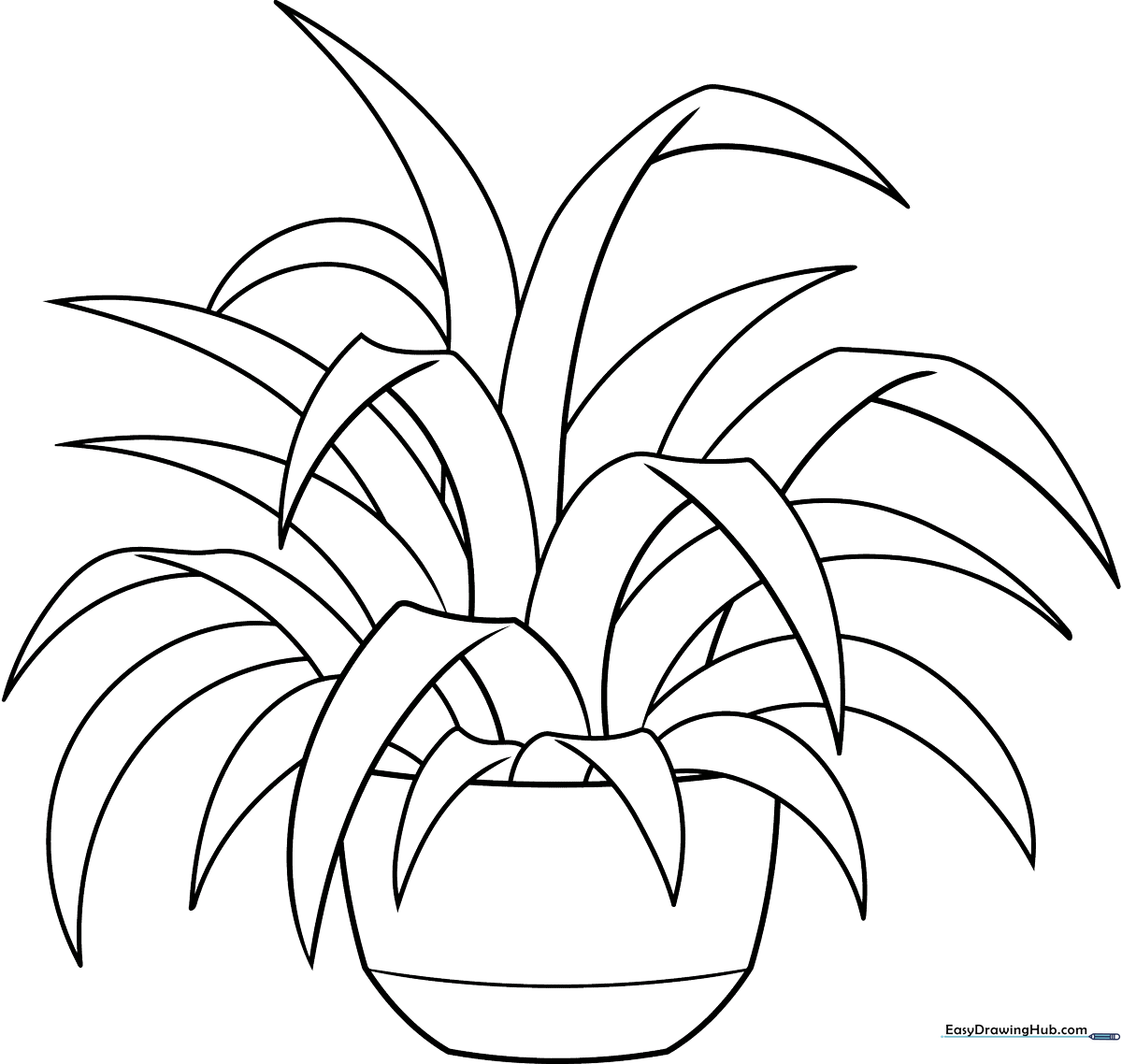 Detailed line art of a spider plant in a hanging pot, featuring long, arching leaves and small plantlets, ready for coloring.