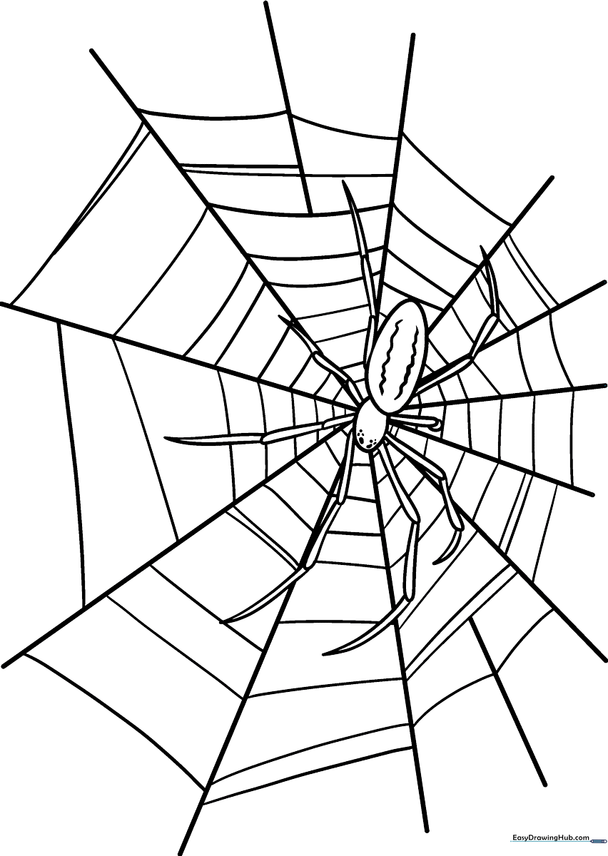 Black and white line art of a circular spider web with a small spider hanging from a silk thread, designed for children to color.