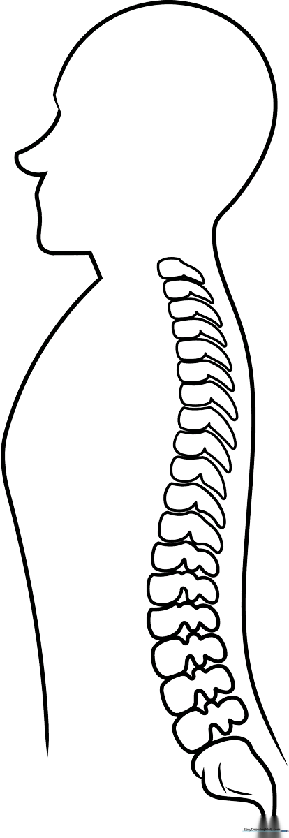 Anatomically accurate line drawing of a human spine, featuring individual vertebrae segments ready for educational coloring.