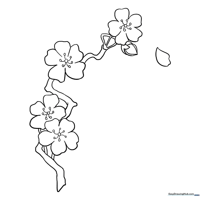 Delicate Cherry Blossoms
