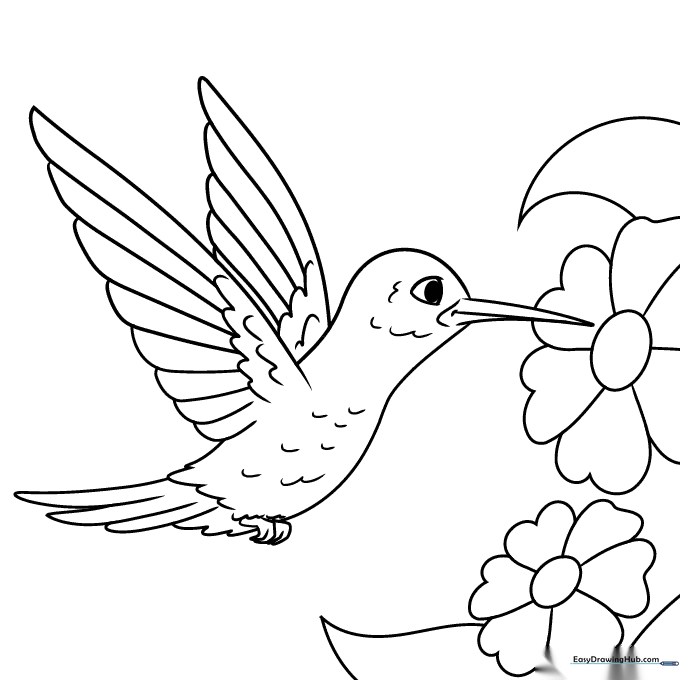 Graceful Hummingbird