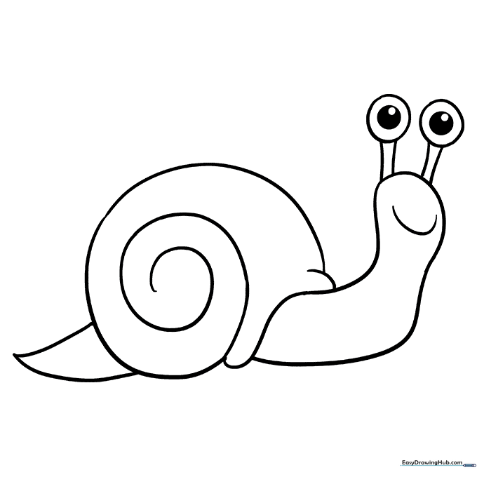 Garden Snail