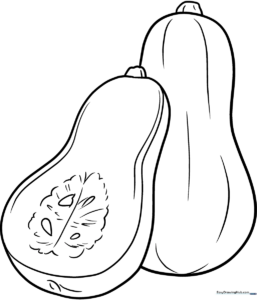 Black and white line art of a round, bumpy squash with a sturdy stem, designed for children to color.
