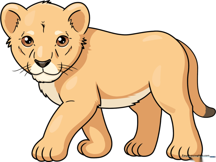 Realistic Lion Cub