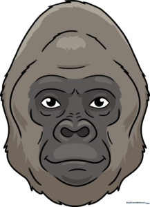 Detailed pencil sketch of a gorilla face showing expressive eyes and textured fur patterns.