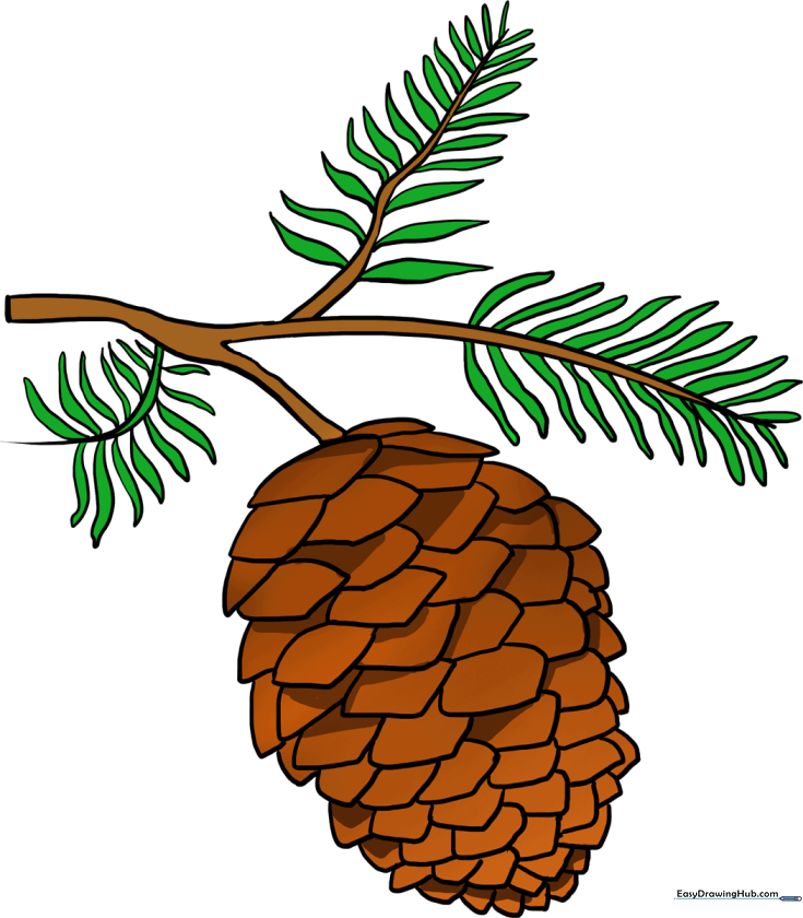 Pinecone