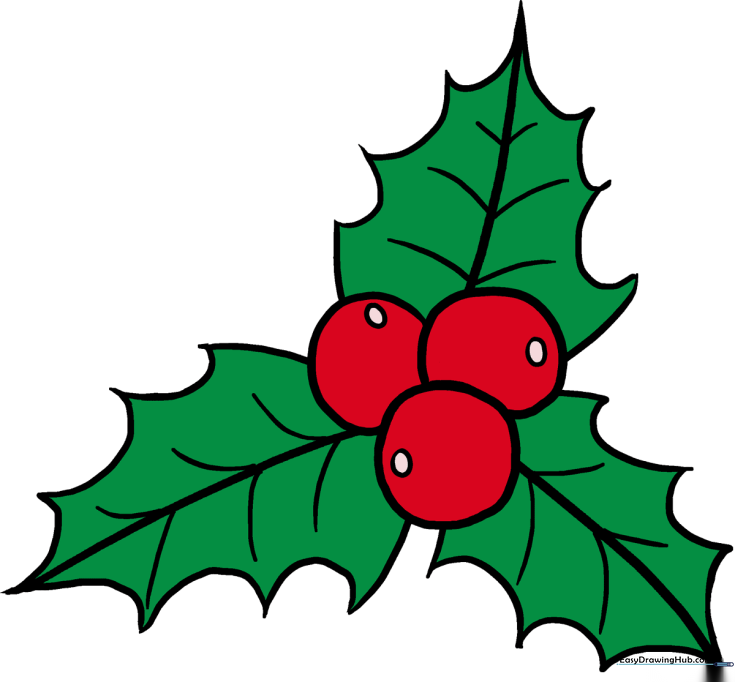Holly