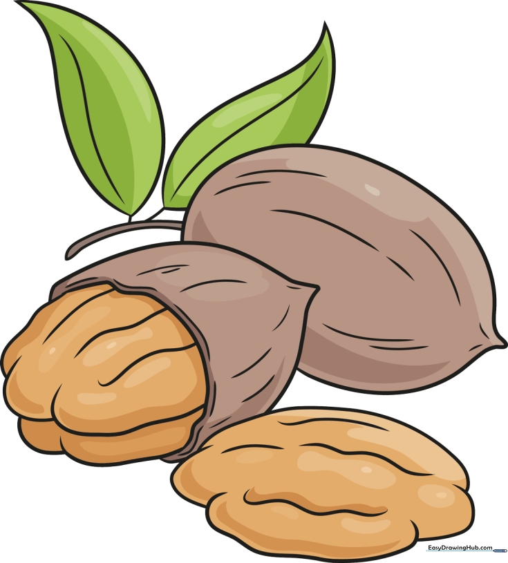 Pecan Nuts