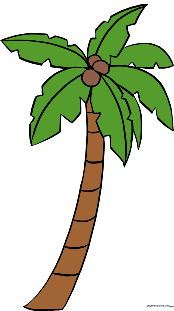 Palm Tree