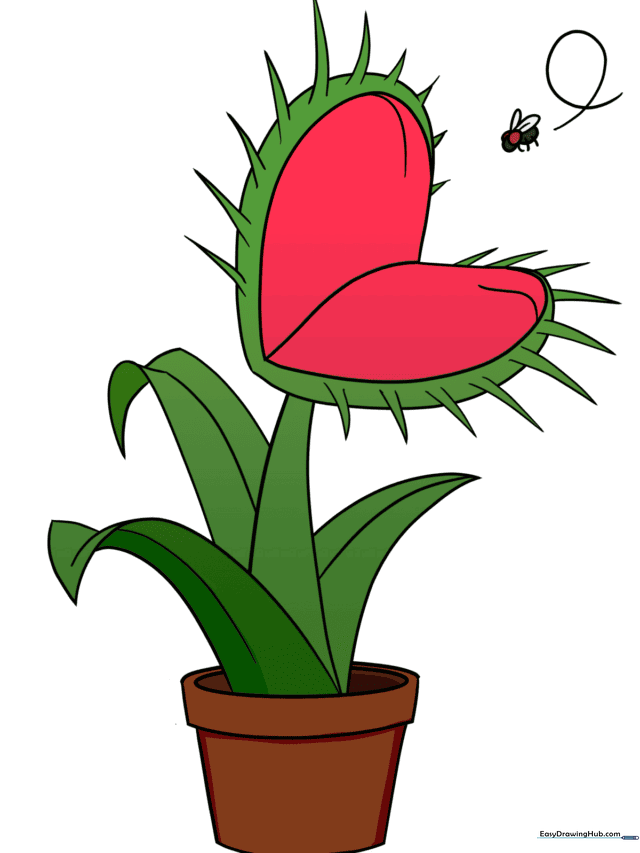 Venus Flytrap