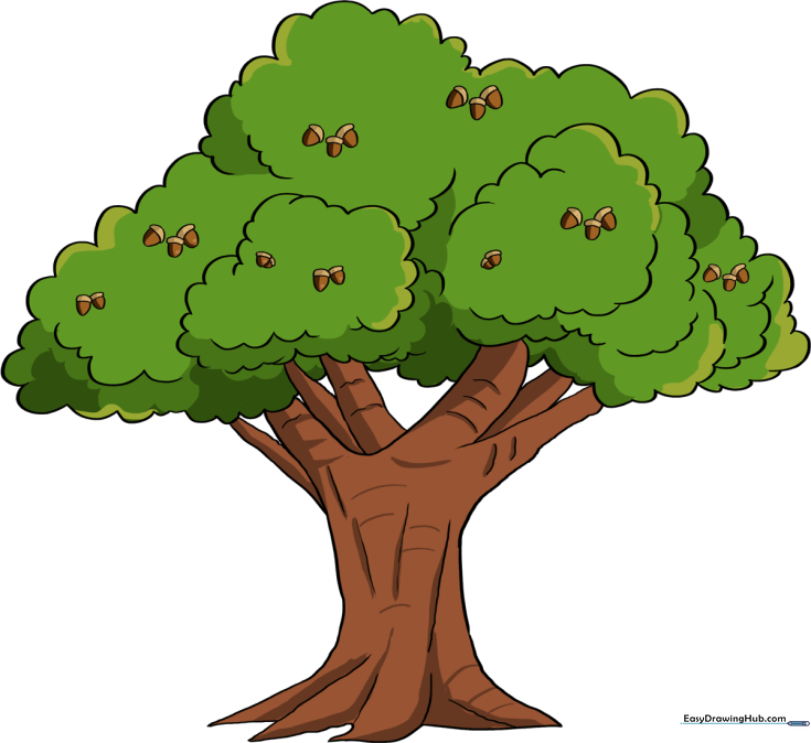 Oak Tree