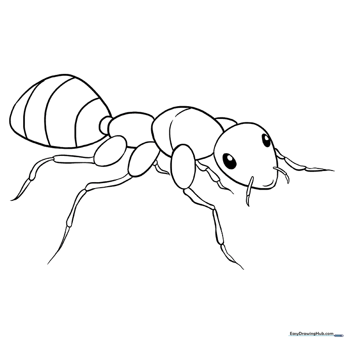 Picnic Ant Coloring Page
